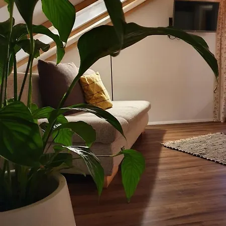 Leuner * 奥尔陶斯