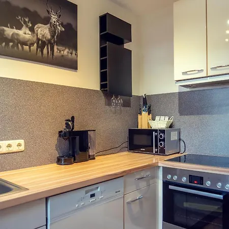 公寓 Leuner 奥尔陶斯