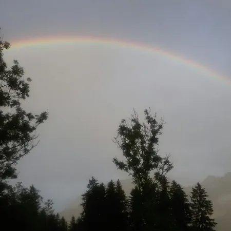 Leuner * 奥尔陶斯