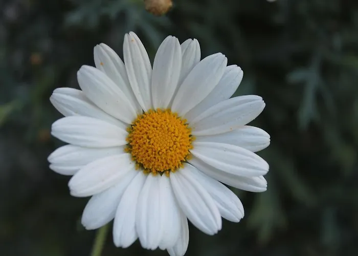Ferienwohnung Leuner Apartment